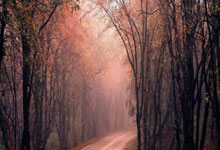 开云体育在线-斗牛士军团势不可挡！西班牙队豪取连胜，剑指荣耀巅峰