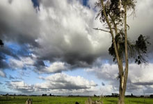 开云下载-西雅图海湾者战术调整，关键球员或将首发出战