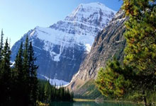 开云体育登录-德甲风云：豪门稳如磐石背后的秘密武器