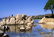 开云体育官网-冰锋所指，王座所向！揭秘俄罗斯冰雪王者的绝对统治力