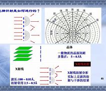 包含巴尔多利德力压埃瓦尔望取胜的词条