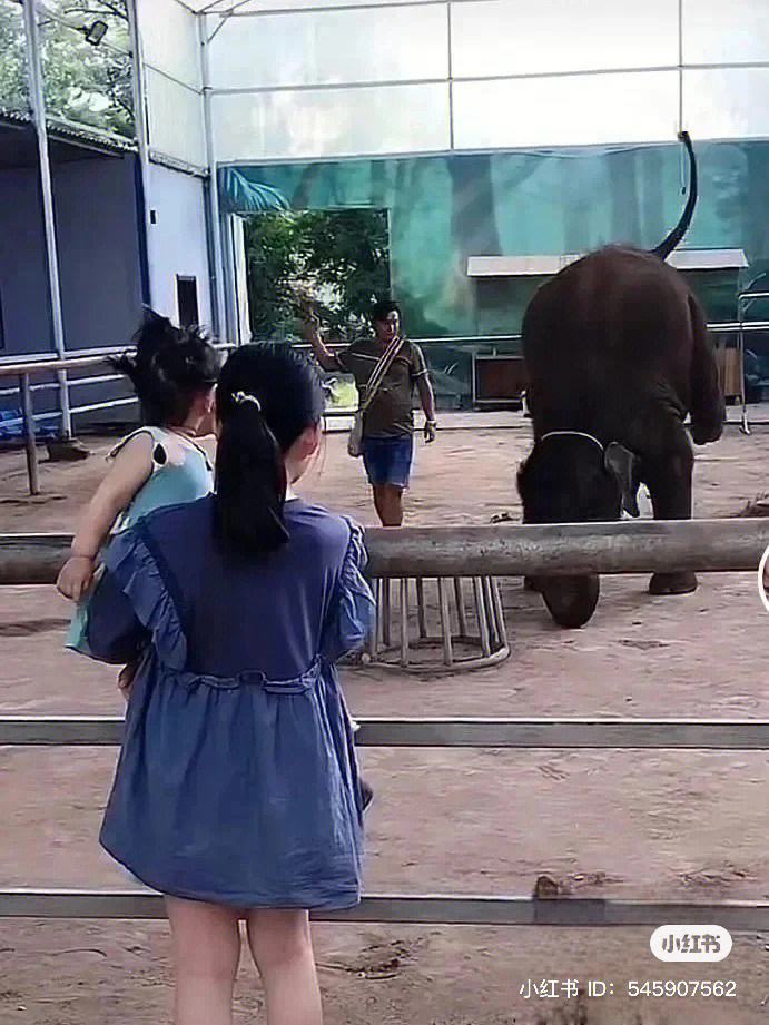 开云下载-亚眠前锋在禁区内娴熟表演！