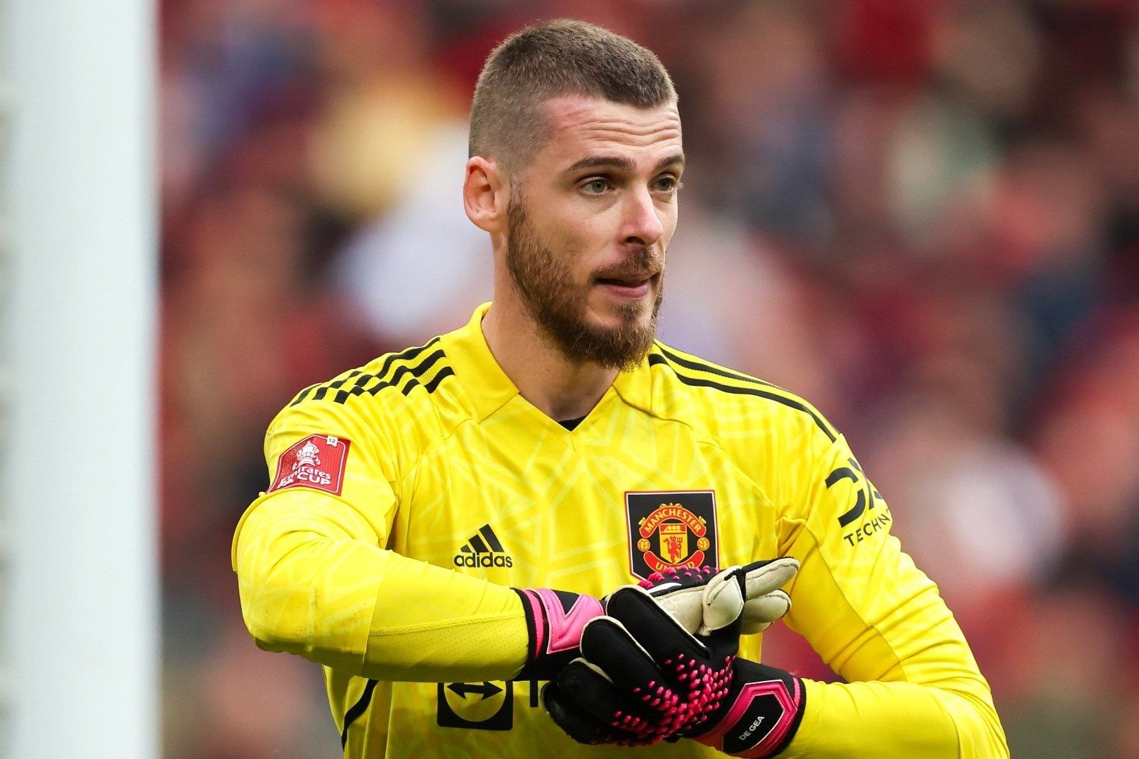 开云官网-阿森纳门将拉姆斯戴尔受伤，继续沉沦