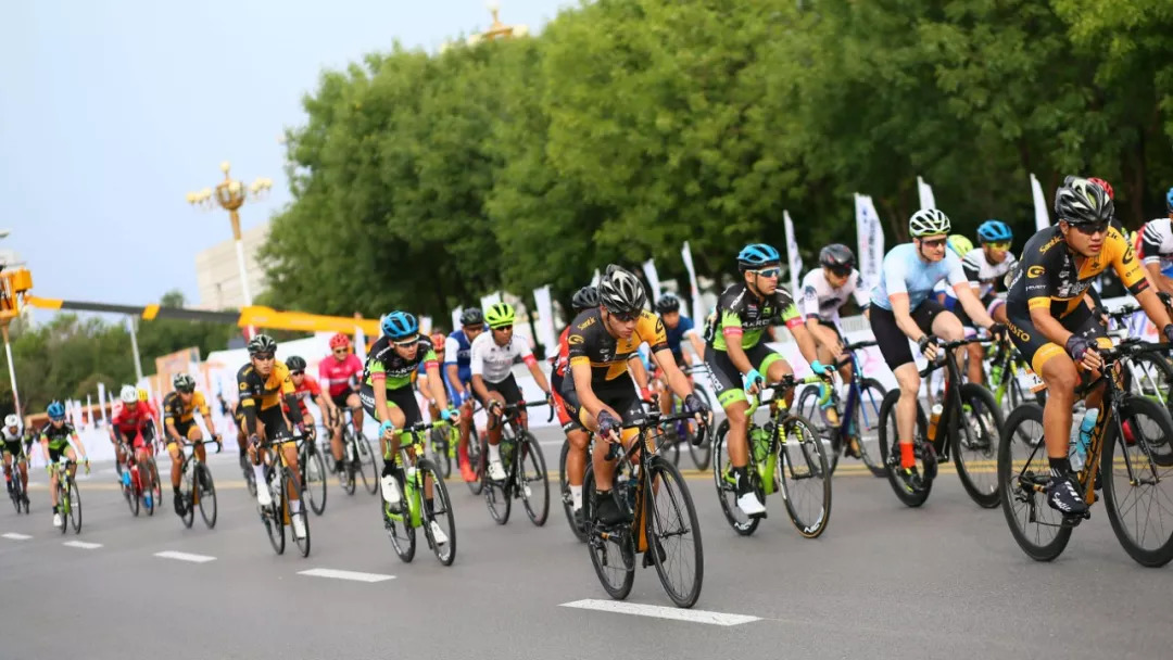 开云体育在线-包含精英勇往直前，金牌加冕风采非凡的词条