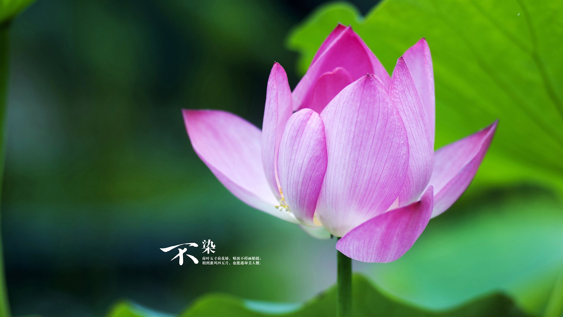 开云体育登录-跨界焦点，NBA总决赛日的唯一硬仗—哥斯达黎加力克智利