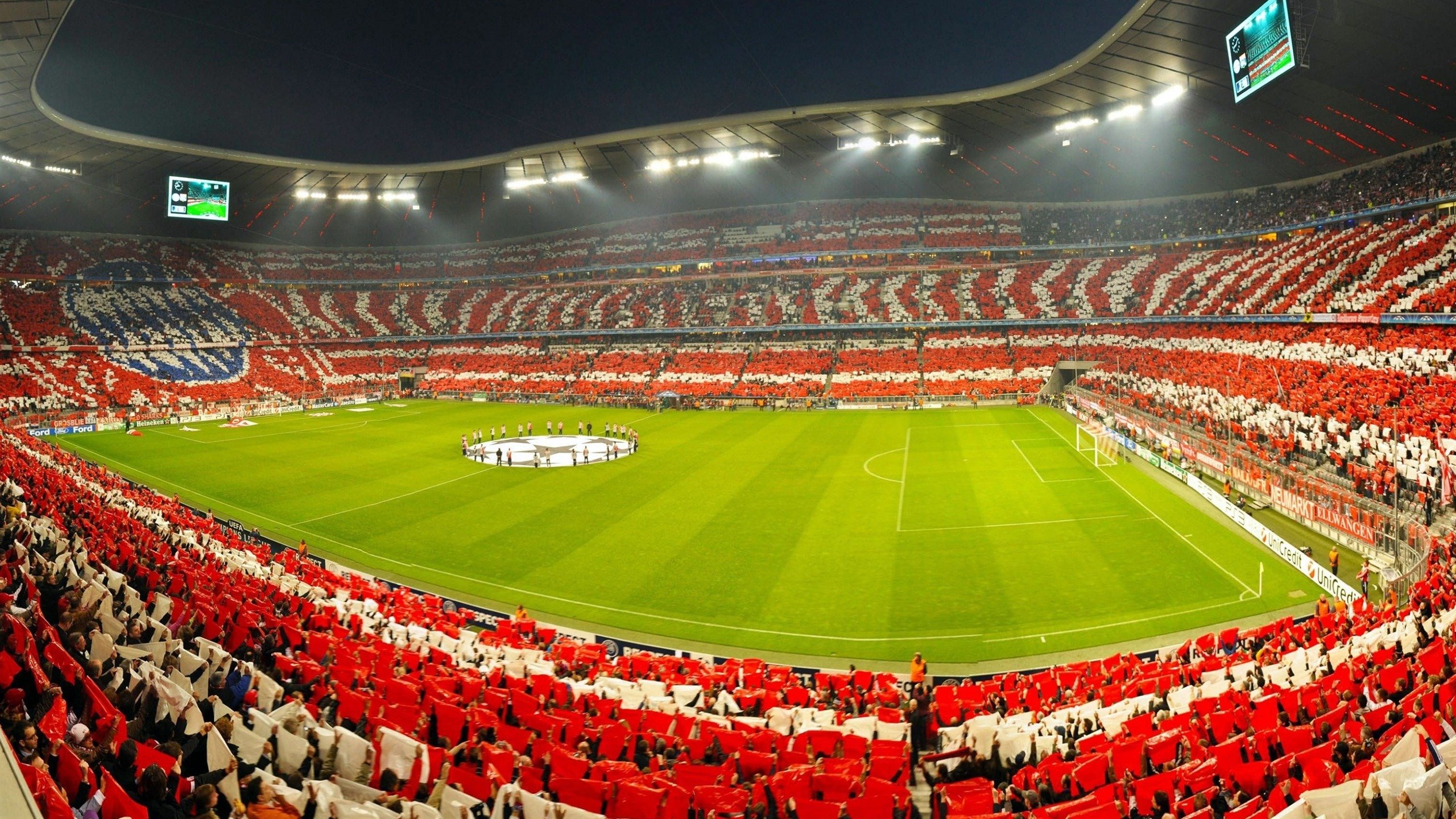 开云平台-维也纳之夜，凯恩终场绝杀改写历史，奥地利极限逆转伊拉克